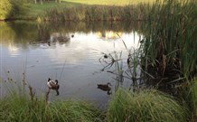 Harewood House Bed And Breakfast - Accommodation Port Hedland 0