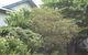Tree Tops Guesthouse - thumb 1
