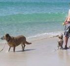 A Paradise Bungalow Waterfront - Accommodation Port Hedland