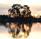 Myuna Bay Sport and Recreation Centre - Accommodation Port Hedland