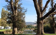 Sand Cottage - Accommodation Port Hedland 1