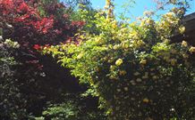 Sea Cottage - Accommodation Port Hedland 3