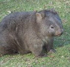 Seakissed Beachhouse - Accommodation Port Hedland