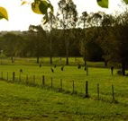 Stone Cottage Mittagong - Accommodation Port Hedland