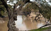 Valley View Cottage Hunter Valley - Accommodation Port Hedland 0