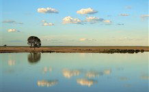 Valley View Cottage Hunter Valley - Accommodation Port Hedland 4