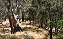 Wagon Wheel Motel And Units - Accommodation Port Hedland 6