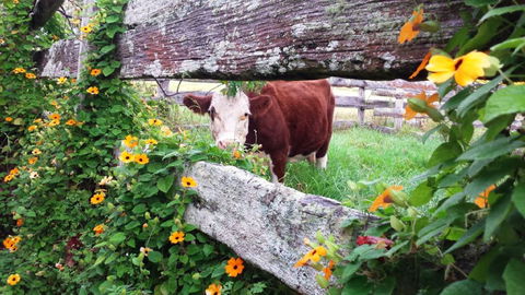 Fairview Farm Cottages - Accommodation Port Hedland 4