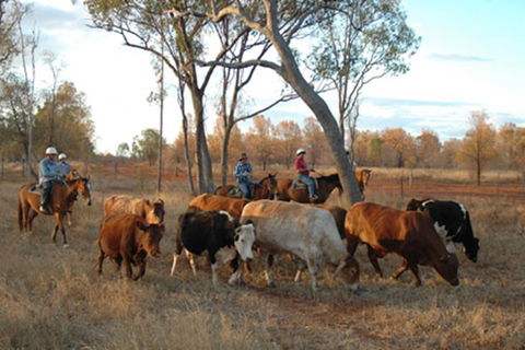 Myella Farmstay - Baralaba - Accommodation Port Hedland 7
