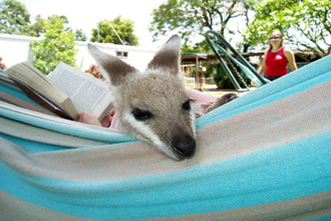 Myella Farmstay - Baralaba - Accommodation Port Hedland 6