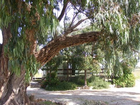 Coodlie Park - Port Kenny - Venus Bay - Accommodation Port Hedland 4
