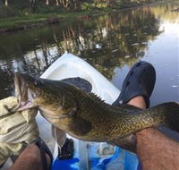 Dumaresq Homestead - Accommodation Port Hedland