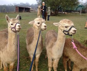 Bunyip Springs Farmstay - Accommodation Port Hedland 0