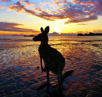 Cape Hillsborough Nature Tourist Park - Accommodation Port Hedland