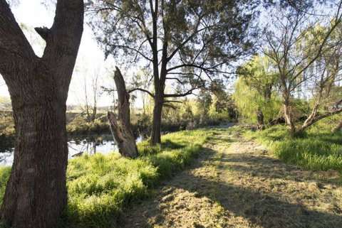 Fossickers' Tourist Park - Accommodation Port Hedland 9