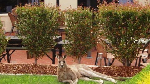Alpha Canberra Hotel And Apartments - Accommodation Port Hedland 0