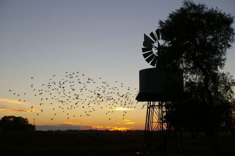 Nevertire Hotel - Accommodation Port Hedland 0