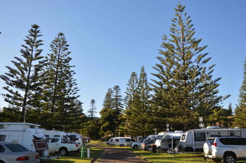 NRMA Port Macquarie Breakwall Holiday Park - Accommodation Port Hedland 5