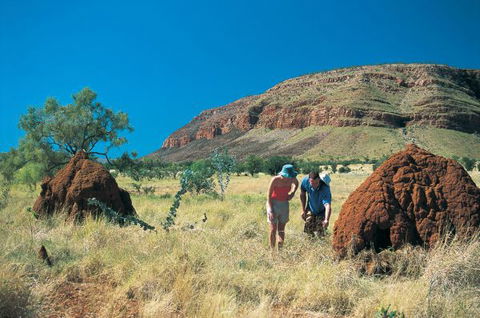 Wolfe Creek Crater Camp At Wolfe Creek Crater National Park - Accommodation Port Hedland 19
