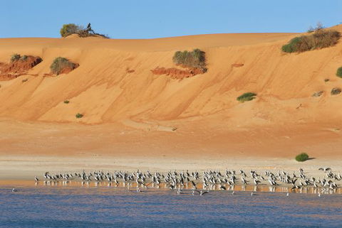 Wolfe Creek Crater Camp At Wolfe Creek Crater National Park - Accommodation Port Hedland 9