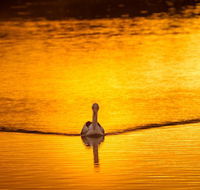 River Shack Rentals - Living the Dream - Accommodation Port Hedland