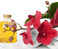 Sunny Hill Retreat Accommodation  Day Spa