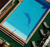 Pacific International Hotel - Accommodation Port Hedland