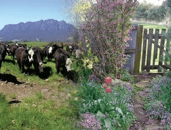 Carinya Farm Holiday Retreat - Accommodation Port Hedland 3