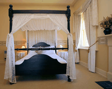 Waratah On York - thumb 2