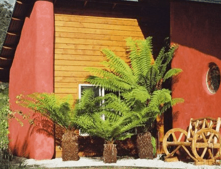 Whispering Spirit Cottage  Miniature Pony Stud - Accommodation Port Hedland