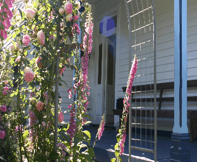 Devonport Bed And Breakfast - Accommodation Port Hedland