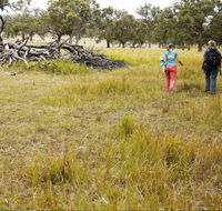 Carnarvon National Park camping - Accommodation Port Hedland