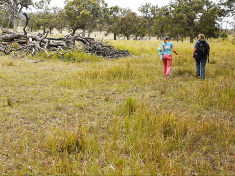 Carnarvon National Park Camping - Accommodation Port Hedland 0