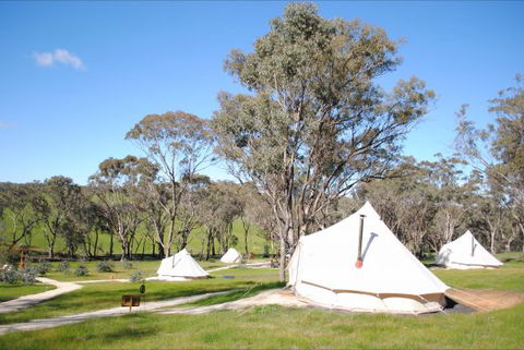 Cosy Tents - Accommodation Port Hedland 5