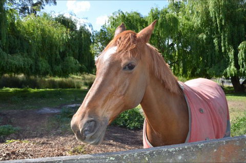 Hawthorn Lodge - Accommodation Port Hedland 2