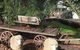 Little River Bed And Breakfast - thumb 5