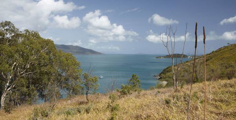 Molle Island National Park (Whitsundays National Park) Camping Ground - Accommodation Port Hedland 1