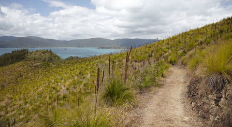 Molle Island National Park (Whitsundays National Park) Camping Ground - Accommodation Port Hedland 2