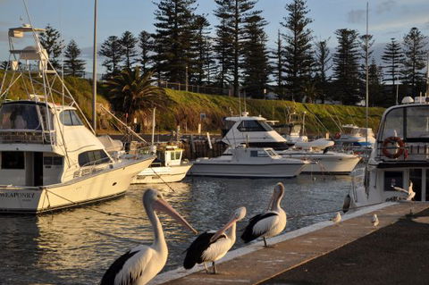 Nautica Accommodation Gerringong - Accommodation Port Hedland 2
