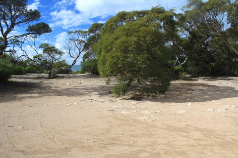 Acraman Creek Conservation Park Campgrounds - Accommodation Port Hedland 0