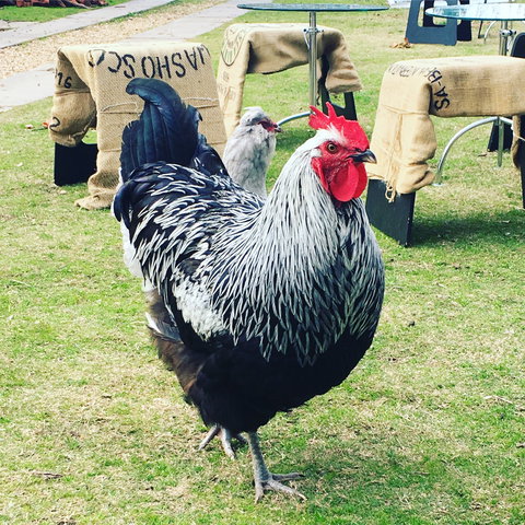 Container65 - Accommodation Port Hedland 4