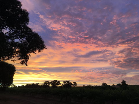 Container65 - Accommodation Port Hedland 5
