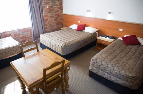 Scone Motor Inn And Apartments - Accommodation Port Hedland 3