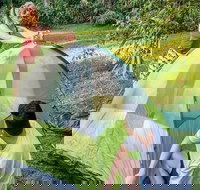 Warrabah campground and picnic area - Accommodation Port Hedland