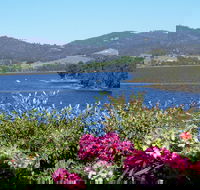 Donalea Bed  Breakfast Tasmania - Accommodation Port Hedland
