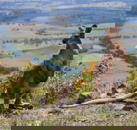 Eaglereach Wilderness Resort - Accommodation Port Hedland