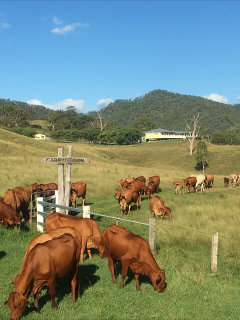 Farringdon Homestead - Accommodation Port Hedland 0