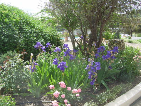 Garden Motor Inn (Golden Chain) - Accommodation Port Hedland 7