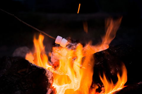 Glenworth Valley Outdoor Adventures Camping - Accommodation Port Hedland 4