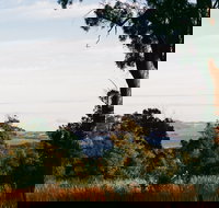 Hilltop Barn at Swan Bay - Accommodation Port Hedland